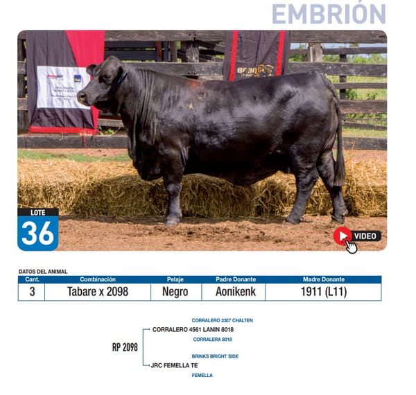 Lote Tabare x 2098