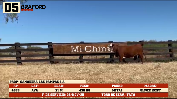Lote LOTE 5