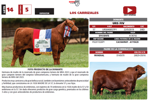Lote LOTE 14
