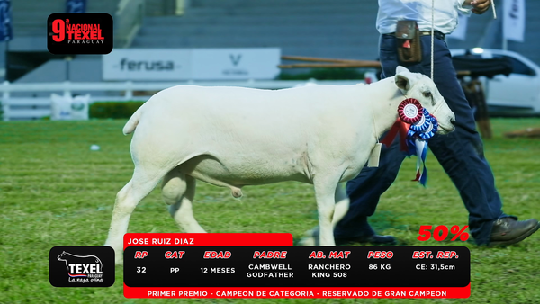 Lote LOTE 6-SALE A VENTA EL 50%