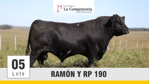 Lote (Vendido)Toros, Montevideo