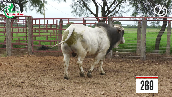 Lote Brahman