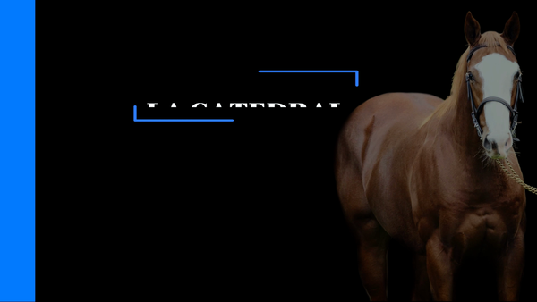 Lote HIJO UNICO (VICTOR SECURITY - FIRST GULCH)