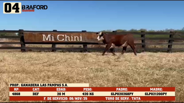 Lote LOTE 4