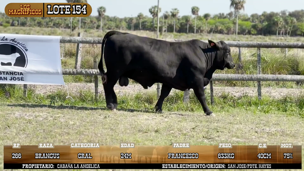 Lote LOTE 154