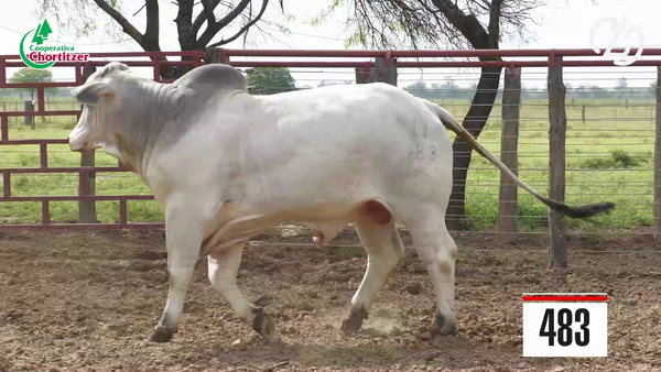Lote Brahman