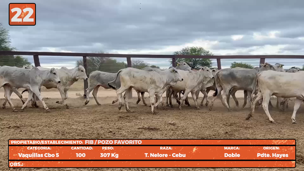 Lote LOTE 22