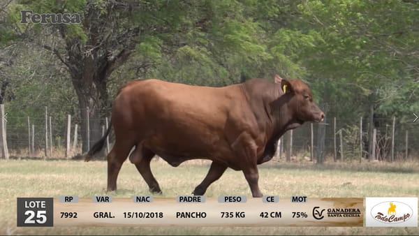 Lote Ganadera Santa Cecilia - Lote 25