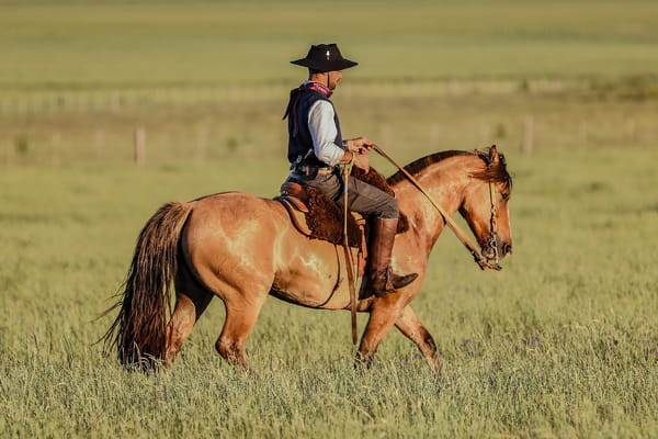 Lote DEL SILENCIO PROHIBIDA
