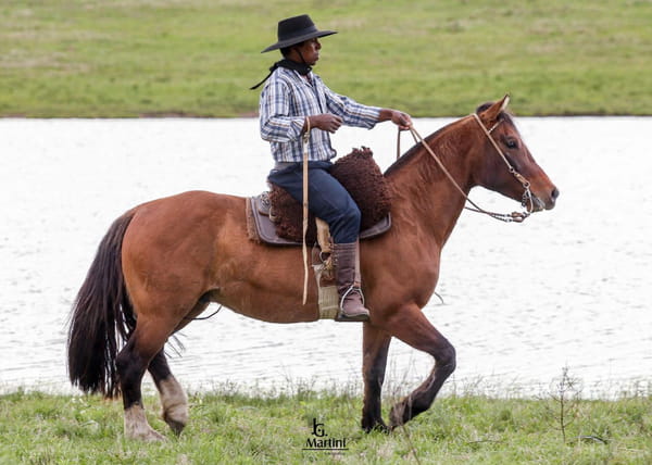 Lote Melchor Caraguatá