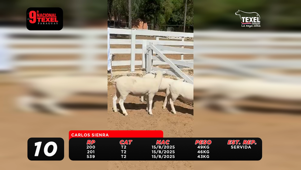 Lote LOTE 10
