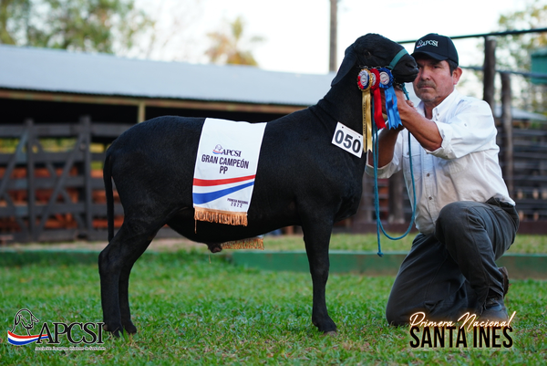 Lote Nacional Santa Inés Bozal - Lote 53