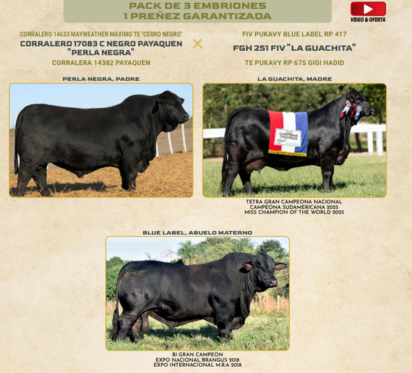 Lote LOTE B