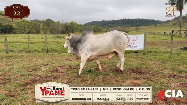 Lote Lote 22