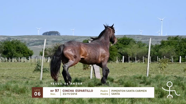 Lote CINCHA ESPARTILLO