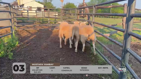 Lote LOTE 3