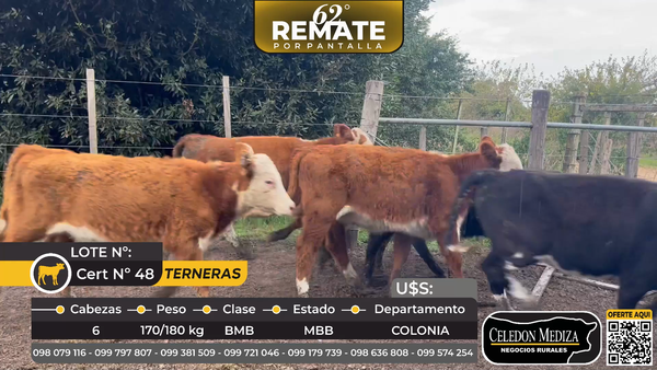 Lote 6 Terneras en Tarariras, Colonia