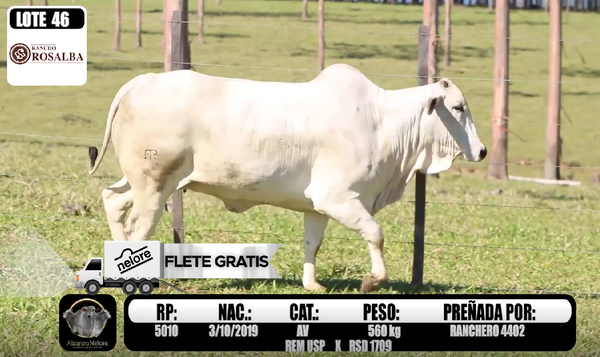 Lote LOTE  46 RP 5010