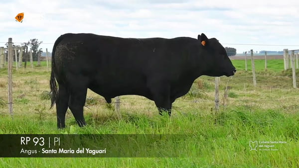 Lote RP 93