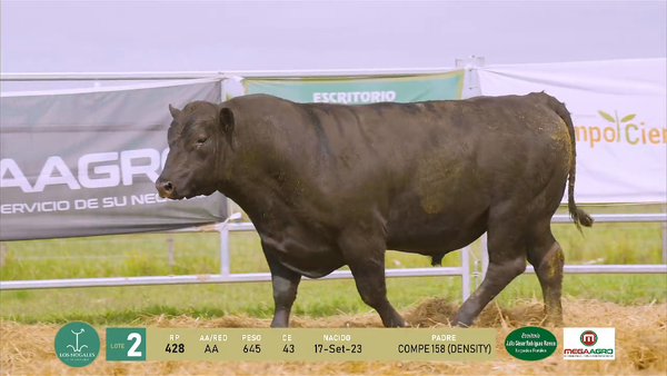 Lote 3 Toros, Flores