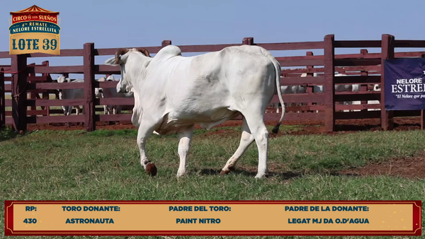 Lote LOTE 39