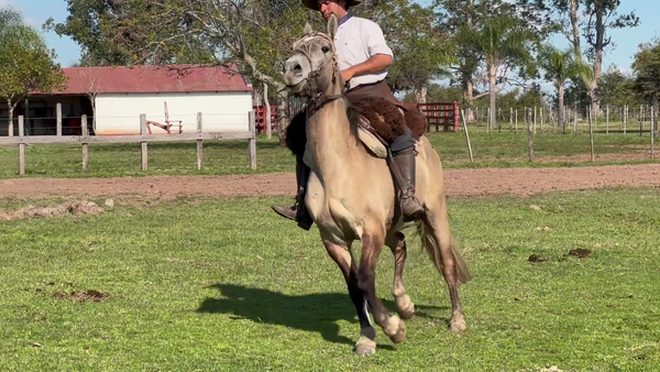 Lote 1 Montados en Corrientes, Curuzú-Cuatiá