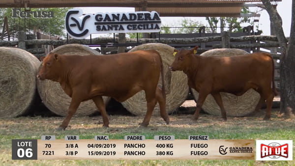 Lote Ganadera Santa Cecilia - Lote 6
