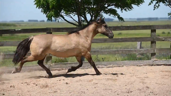 Lote CAÑADA  PATRONA