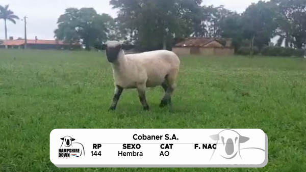 Lote LOTE 13 A CAMPO - RP 144