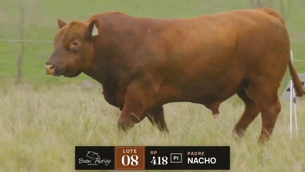 Lote LOTE 08 · TORO PI · RP 418, 457, 1438