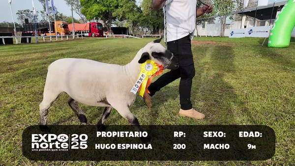 Lote RP 200