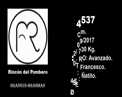 Lote CABAÑA "EL RINCON DEL POMBERO" RP4537