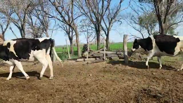 Lote Suc. Guidetti Juan Carlos