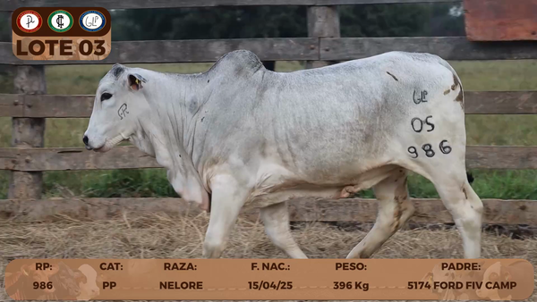 Lote LOTE 3- RESERVA DE CABAÑA