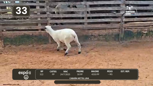 Lote LOTE 33 - CAMPO