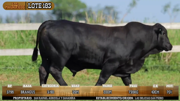 Lote LOTE 183
