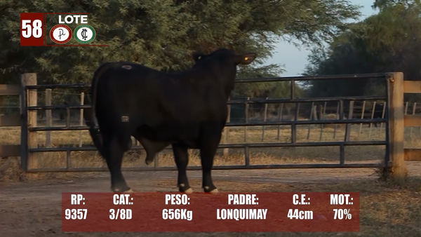 Lote Lote 58