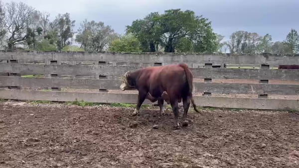 Lote Las Varges RP 283