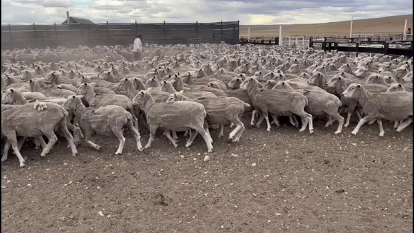 Lote BELLA VISTA SARA BRAUN