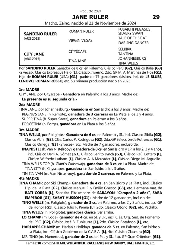 Lote JANE RULER (SANDINO RULER -  CITY JANE)