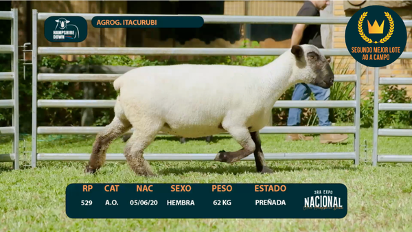 Lote LOTE 10 - AGROG. ITACURUBI - RP 529