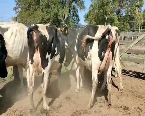 Lote Est. El Relincho