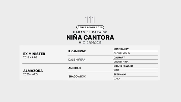 Lote NIÑA CANTORA