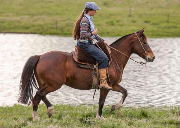 Lote De la Laguna Relincho