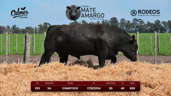 Lote RP 253 SA