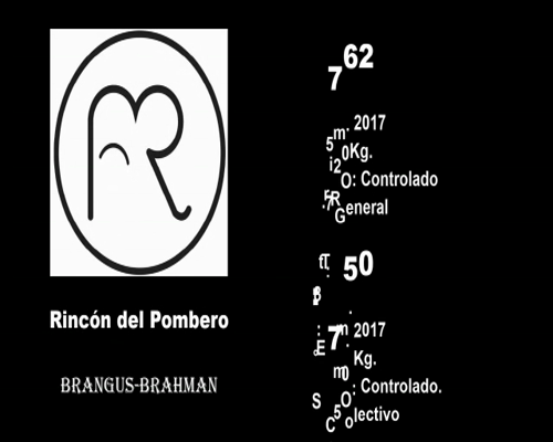 Lote CABAÑA "EL RINCON DEL POMBERO" 762