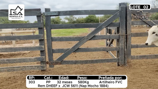 Lote Nacional Nelore Campo - Lote 2
