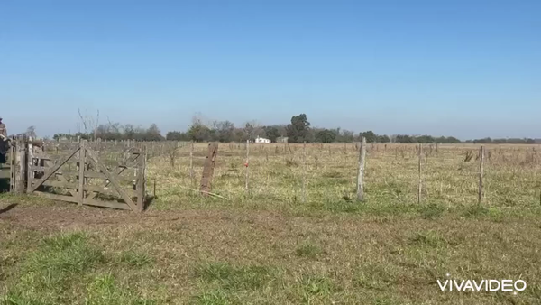 Lote 74 AL CTE (VAQ)