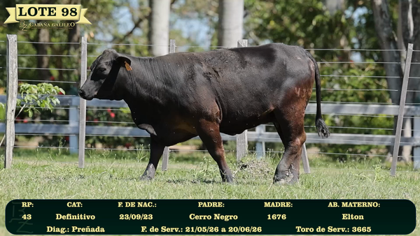 Lote LOTE 98