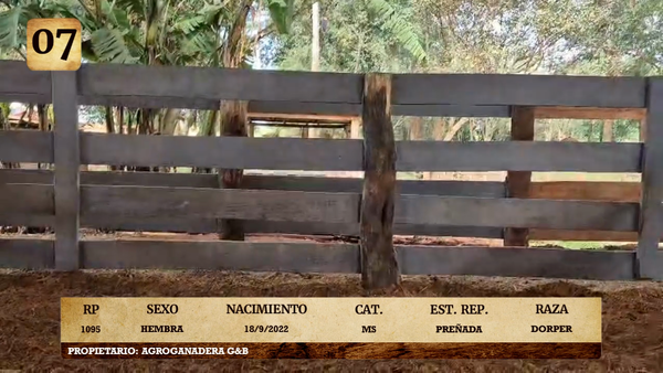 Lote LOTE 7